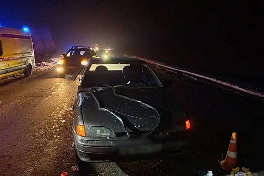 После ДТП с семью погибшими в Волгоградской области возбуждено дело