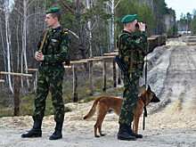 В Белоруссии заявили, что польские пограничники доставили к границе избитого мигранта