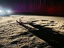 В Мурыгино водитель сбил велосипедиста и уехал с места ДТП