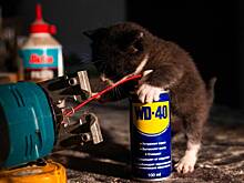 «Средство для тысячи применений» оказалось вредным для автомобиля