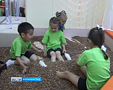 В Гусевском детском саду открыли комнату янтарной терапии