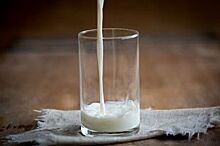 Какую молочную продукцию на оренбургских прилавках лучше не покупать?