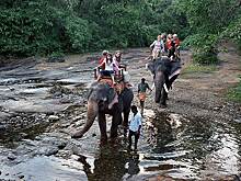 С новым Гоа