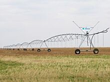 Операция «мелиорация». В регионе восстановят 20 000 га орошаемых земель
