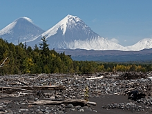 На Камчатке произошел повторный выброс пепла на вулкане Шивелуч