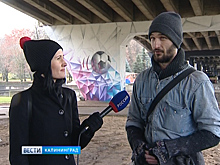 Опоры эстакадного моста в Калининграде превратились в полотно для граффити