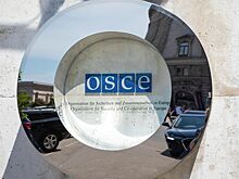 Россия рассмотрит возможность приостановки участия в ОБСЕ