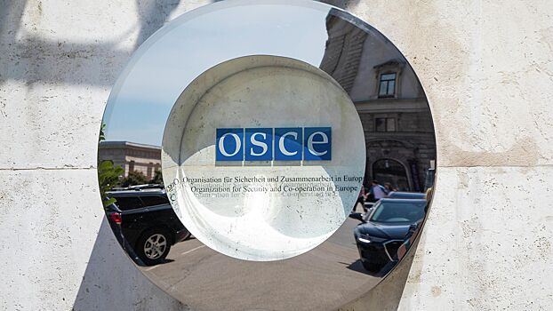 В Совфеде прокомментировали попытки исключить Россию из ПА ОБСЕ