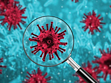 В Британии отменено главное событие января в боксе: ковид