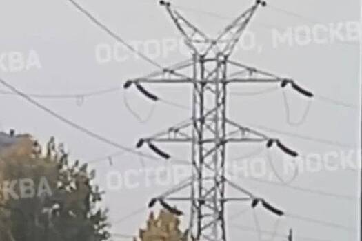 Россиянин забрался на высоковольтную ЛЭП и попал на видео