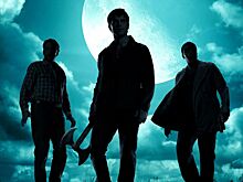 Полицейские, пилоты и ветеринары. Сериалы недели