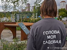 Городской пруд в Екатеринбурге получит набережную с лианами