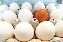 «Росптицесоюз» не подтвердил рекомендацию о повышении цен на яйца