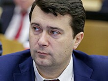 Депутат Лебедев: история с котом Твиксом показала необходимость существенно регламентировать вопросы перевозки домашних животных