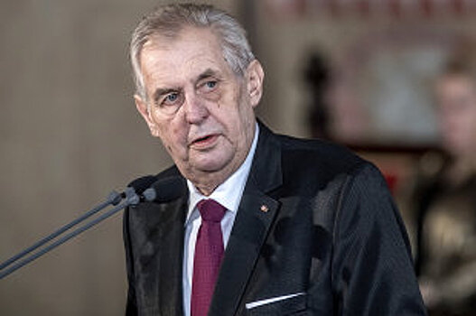 Президента Чехии заставят выплатить штраф за сожжение трусов