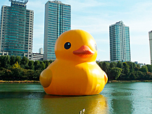 На заметку дизайнеру: что символизируют цвета в 2019 году?