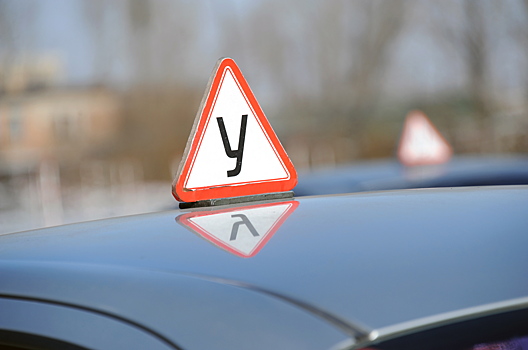 Нилов: нельзя разрешать сдачу экзаменов на права без практики в автошколе