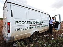 Россельхознадзор заподозрил PepsiCo в коммерческом шпионаже