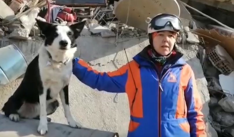 В Турции собака из кинологической службы Торин помогла найти пятерых выживших