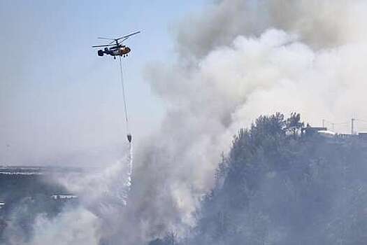 Минсельхоз Турции: лесные пожары в Анталье и Мугле взяты под контроль