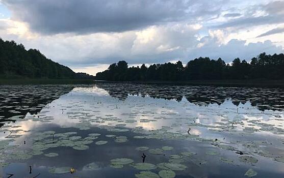 В Курской области автомобиль сорвался в реку: водитель погиб
