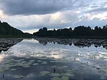 В Курской области автомобиль сорвался в реку: водитель погиб