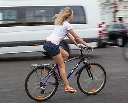 На создание велодорожек в Петербурге потратят 750 млн рублей