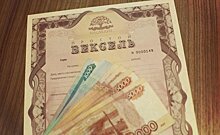 "Привлекли 1,6 миллиарда": семейное дело челнинского депутата "наследило" в 11 регионах России