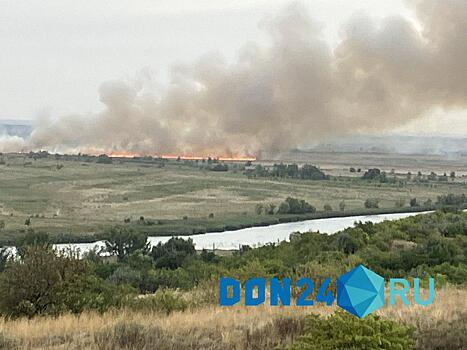 МЧС предупредило о высокой пожарной опасности в Подмосковье с 1 по 2 сентября