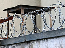 Раскрыты подробности о расследовании побега из подмосковного ИВС