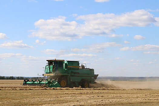 За три года урожайность зерновых в Мордовии выросла на 27 процентов