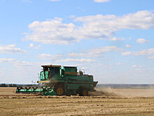 За три года урожайность зерновых в Мордовии выросла на 27 процентов