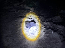 СКР опубликовал фото с места гибели двух юношей в Новосибирске