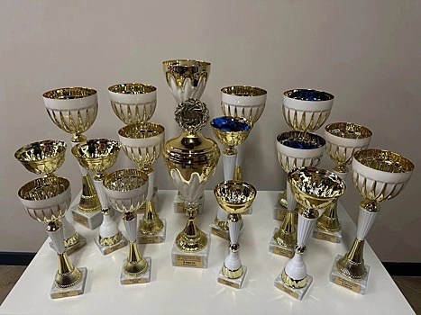 Сборная Удмуртии победила в общекомандном зачете на Кубке России по танцам на колясках