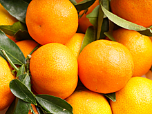 Названа безопасная норма потребления мандаринов