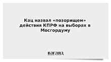 Кац назвал «позорищем» действия КПРФ на выборах в Мосгордуму