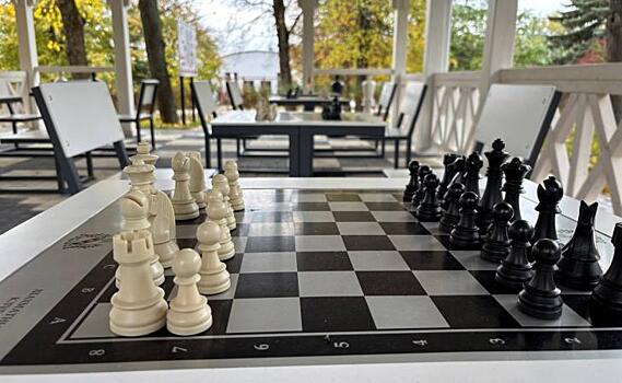 В Курске за 2 месяца уцелели все шахматы в Шахматной беседке