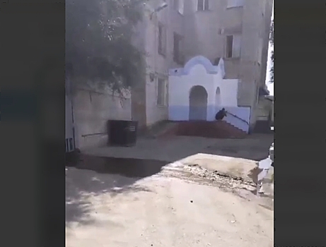 Следователи проверят информацию о хостеле для мигрантов в Благовещенске