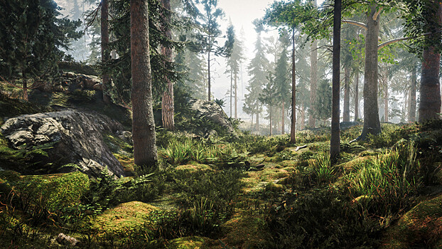 Анонсирована игра про выживание в финских лесах