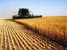 Из 390 млн рублей на закладку и уход за садами аграрии Кубани уже получили 210 млн