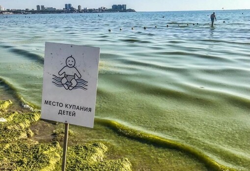 В анапе воняет море