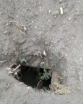 Опасный «портал» в земле обнаружили жители Уссурийска