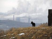 В России собрались ввести ГОСТы для спасения планеты