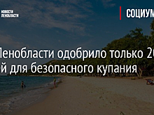 МЧС Ленобласти одобрило только 20 пляжей для безопасного купания