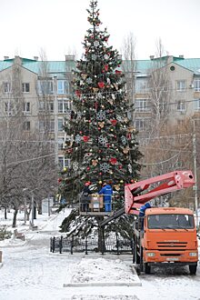 В Балаково в парке «Энергетик» нарядили 14-метровую елку