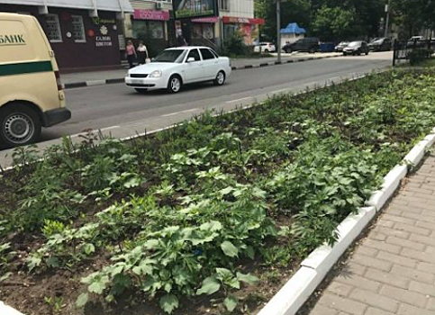 До 1 декабря будет благоустроен участок Рахова до Московской в Саратове