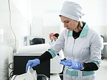 Полногеномное секвенирование для улучшения породы овец: научную задачу решают исследователи в СКФУ