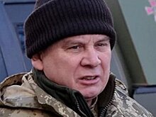 Андрей Таран. Биографическая справка