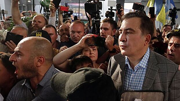 Партия Саакашвили идет на досрочные выборы в Раду