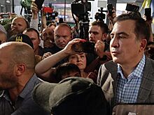 Партия Саакашвили идет на досрочные выборы в Раду